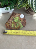 Gaspeite