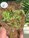 Gaspeite