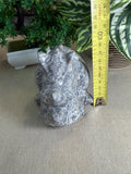 Picasso Jasper Rhinoceros