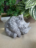 Picasso Jasper Rhinoceros