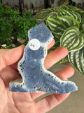 Blue Coral Fossil Points