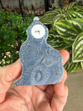 Blue Coral Fossil Points
