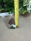 Hematite Quartz