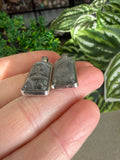 Aletai Iron Meteorite Pendants