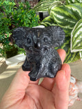 Koalas