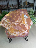 Glossopteris Leaf Fossil