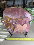 Glossopteris Leaf Fossil