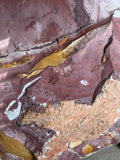 Glossopteris Leaf Fossil