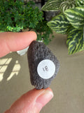 Colombianite Tektites