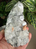 Apophyllite with Peach Stilbite Cluster