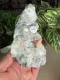 Apophyllite with Peach Stilbite Cluster