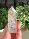 Dendritic Quartz Point