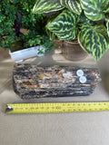 Raw Black Tourmaline with Gold Mica