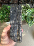 Raw Black Tourmaline with Gold Mica