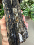 Raw Black Tourmaline with Gold Mica