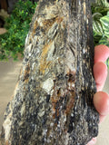 Raw Black Tourmaline with Gold Mica