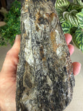 Raw Black Tourmaline with Gold Mica