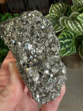 Pyrite Cluster