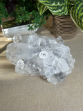 Apophyllite Cluster