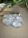 Apophyllite Cluster