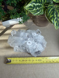 Apophyllite Cluster