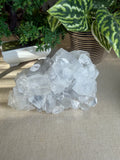 Apophyllite Cluster