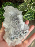 Apophyllite Cluster