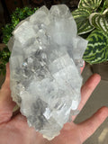 Apophyllite Cluster