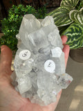 Apophyllite Cluster