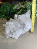 Quartz Cluster 2.97kgs