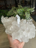 Quartz Cluster 2.97kgs