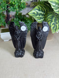 Obsidian Angels
