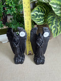 Obsidian Angels