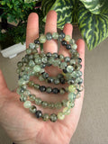 Prehnite Bracelets 8mm