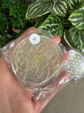 Selenite Discs