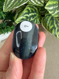 Blue Tiger Eye Palm Stone