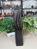Silver Obsidian Tower