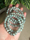 Kiwi Jasper Bracelets 8mm