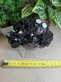 Morian Quartz Cluster