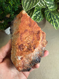 Morian Quartz Cluster