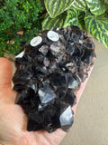 Morian Quartz Cluster