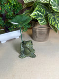 Green Jade Frog