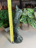 Green Jade Cockatoo