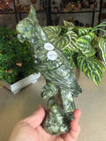 Green Jade Cockatoo