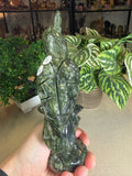 Green Jade Cockatoo
