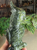 Green Jade Cockatoo
