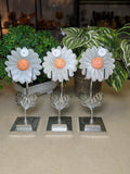 Selenite Daisies