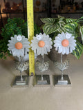 Selenite Daisies