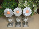 Selenite Daisies