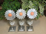 Selenite Daisies